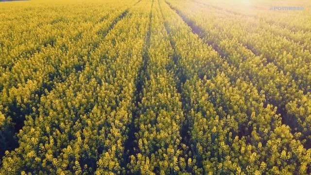 Імідж-відео компанії PÖTTINGER [UA] смотреть онлайн