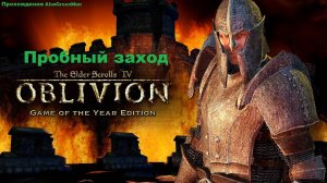 The Elder Scrоlls IV Oblivion Ностальгическое прохождение