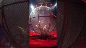 Мотоциклисты ездят в шаре в цирке.