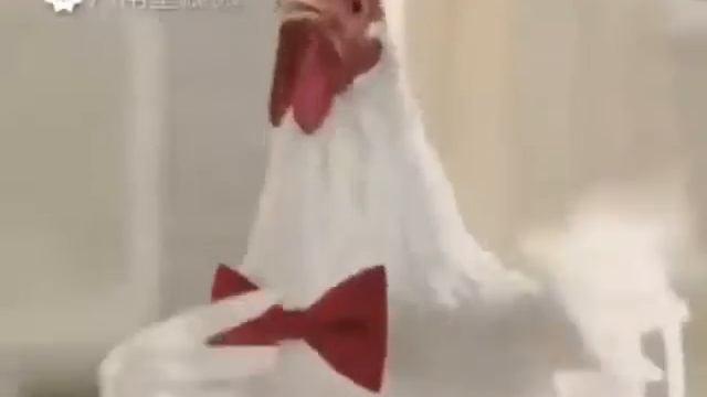Китайский прикол про петуха смотреть онлайн