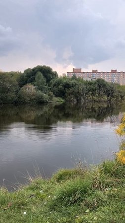 Пруд в городе