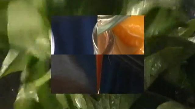 TOLWC+AVP FINAL mpeg2video смотреть онлайн