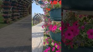 Цветочный парк в Грозном. Чечения.