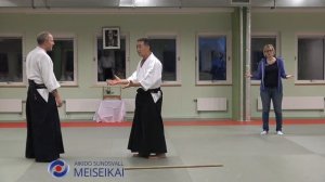 17 Aikido Jo No Tebiki Ai Hanmi Ikkyo Omote Shishiya Sensei Malmö 2017
