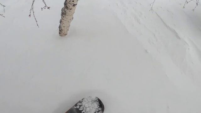 22.02 мустаг.поля смотреть онлайн