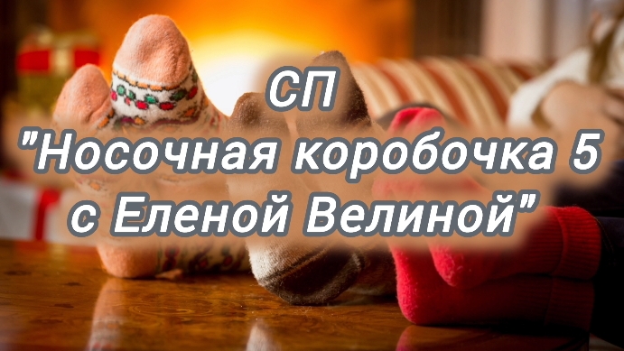 СП "Носочная коробочка 5 с Еленой Велиной" апрель 2025г / участник 83
