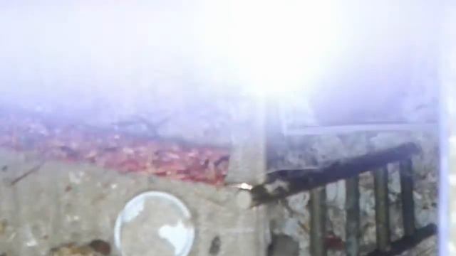 Эмма и детки #1 смотреть онлайн