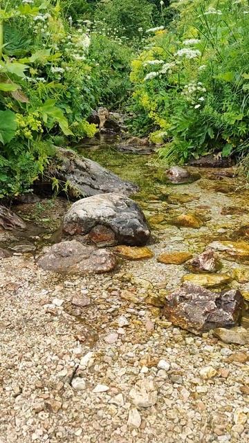 Подножие горы Пшеха-Су. Республика Адыгея смотреть онлайн