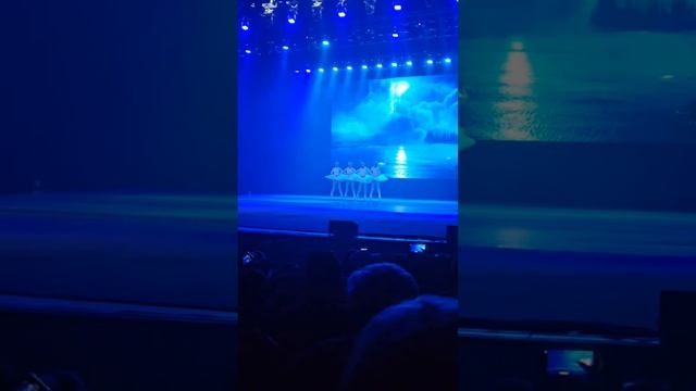 Маленькие лебеди крайняя