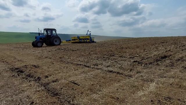 Посев рапса на 35 и 70 з разными нормами высева по No-Till смотреть онлайн