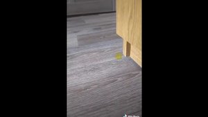 АЛЁНКА КИБОРГ УБИЙЦА!!!