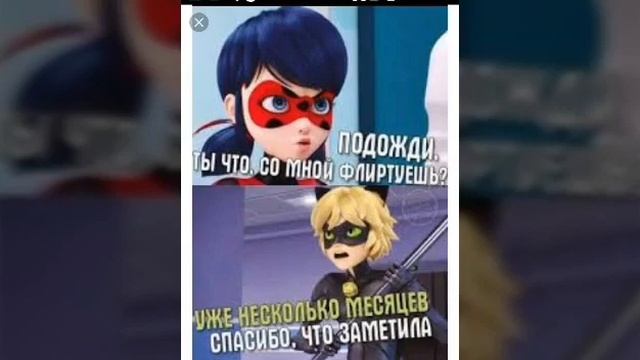 Приколы леди баг и супер кот смотреть онлайн