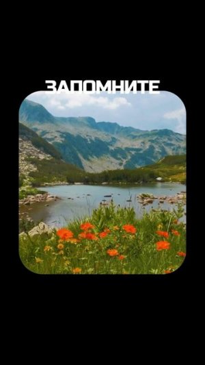 Кайфуйте, ЖИЗНЬ ОДНА!