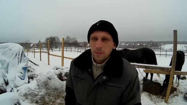 Мужик нынче не тот. О современных и будущих мужчинах.Переезд в деревню. смотреть онлайн