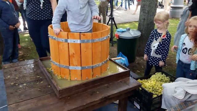 Давильня винограда, большой фестиваль Италии, Grand Italia Fest