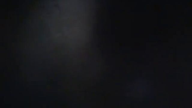 Коты воители приколы смотреть онлайн