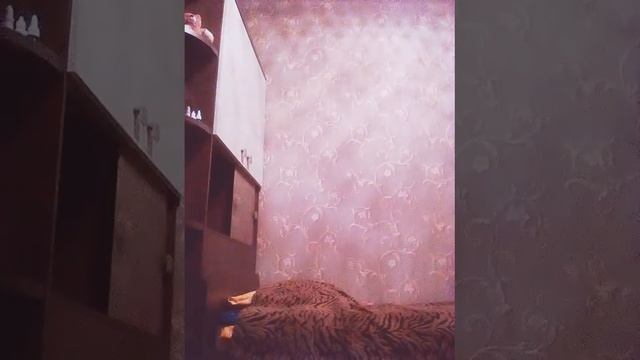 Хип-хоп брейк