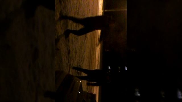 приколы пацанов!) смотреть онлайн