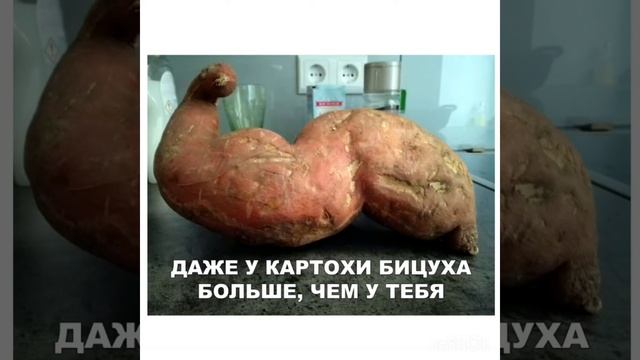 Тупые но смешные мемы