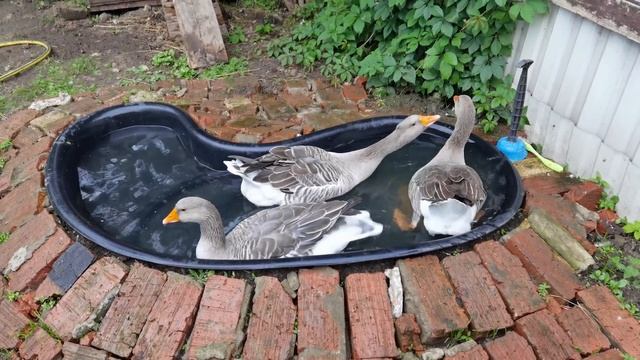 Вот и лето прошло... смотреть онлайн