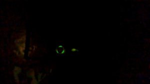 ЮМОР ПО ДОМОФОНУ 2