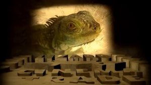 Заставка Лизард Синема Трейд - varley-studio.ru