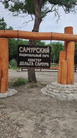 Дагестан. Самурский реликтовый лес. Пение птиц. Оригинальный звук