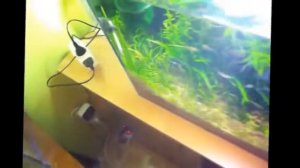 Aquael VersaMax FZN-1