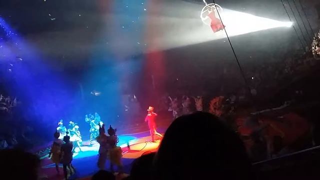 Принцесса цирка