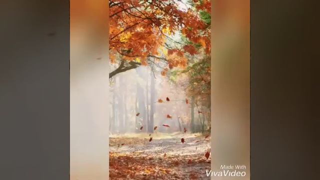 С добрым утром!//Пусть этой осенью исполнятся мечты!//Красивое доброе утро//Good morning!// смотреть онлайн