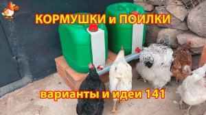 Кормушки и поилки для кур своими руками (141)🪚✂️ Пошаговая инструкция как сделать 🐔 🐓❣️