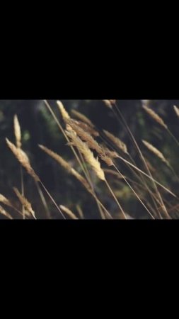 Полина Душина - Проходящая мимо
