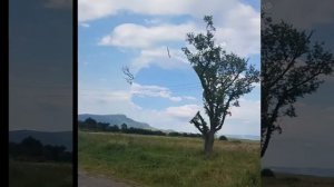 Природа Карачаево-Черкесской республики. Июль 2018.