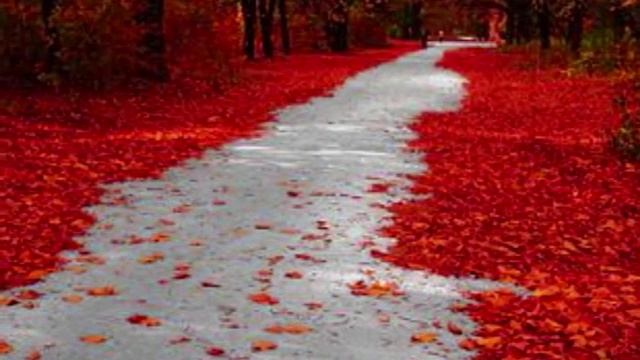 любовь-головоломка смотреть онлайн