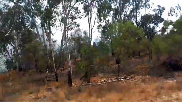 Tara Bush Fire 28/10/2023 Part 2 смотреть онлайн