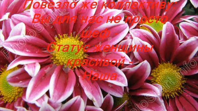 Поздравления с днем рождения от колектива.wmv смотреть онлайн