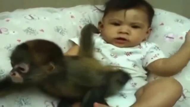 Обезьянки и дети   Подборка смешных видео