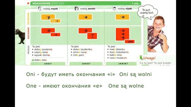 Экспресс курс польского языка (урок 2). Разговорный польский для тех, кому нужно выучить язык быстр
