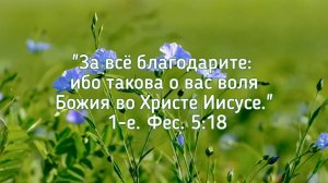 А ты начни благодарить! | христианский стих