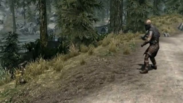 Skyrim прикол