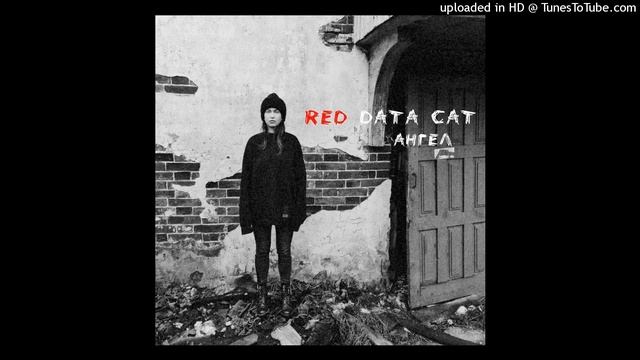 Red Data Cat - Ангел