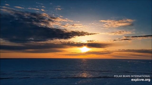 Wapusk National Park - Национальный парк Вапуск. смотреть онлайн