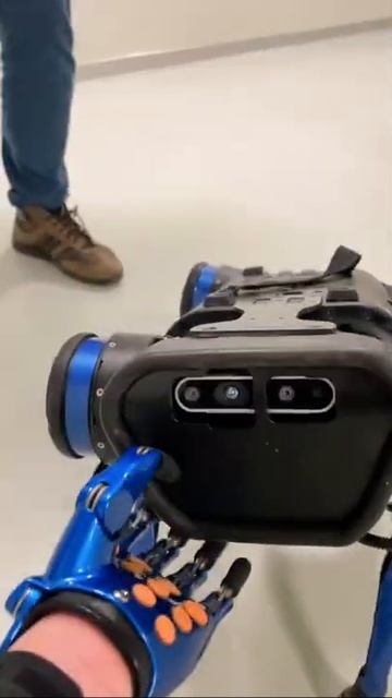 Как управлять Кибер Собакой? #роботы #робособака смотреть онлайн