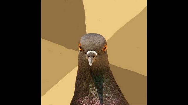 Плюсы и минусы работать закладчиком! (делюсь личным опытом) смотреть онлайн