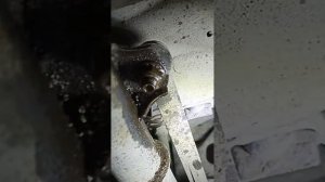 Замена пружин, опорных подшипников, и прочее на шевроле авео Т300