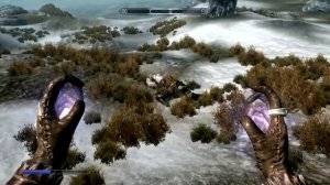 The Elder Scrolls V - Skyrim: Приколы