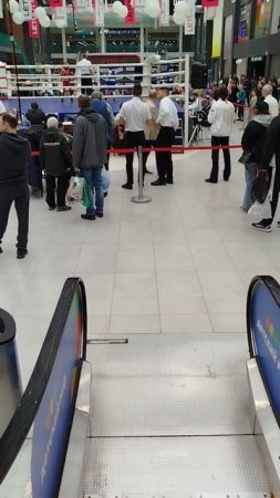 Движуха!