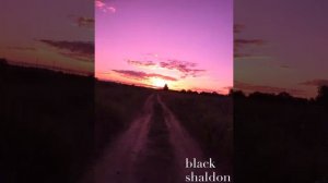 tara202 - кавабанга. Эту песню ищут все