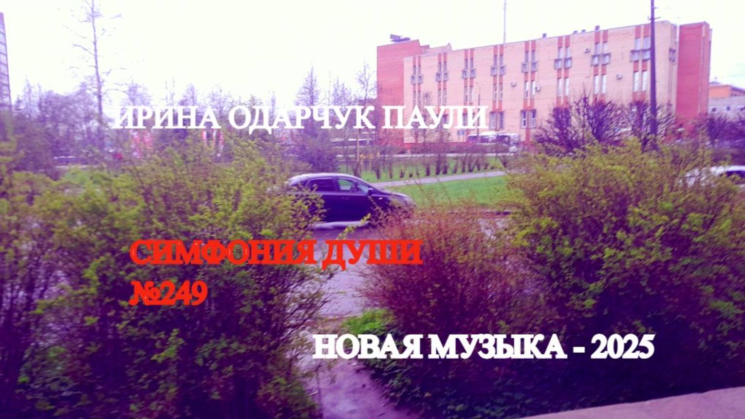 Ирина Одарчук Паули Симфония души №249 2025 год