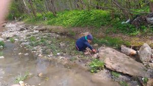 как мы строим запруду часть один